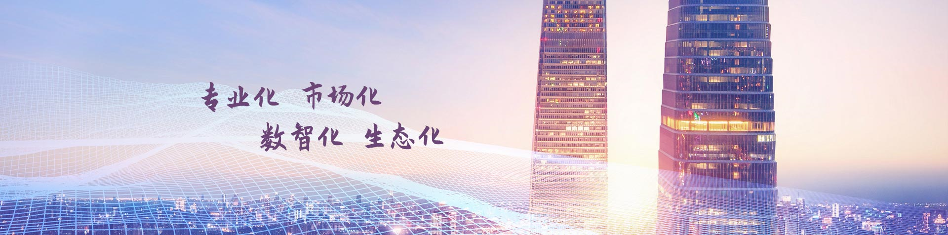 专业化 市场化 数智化 生态化